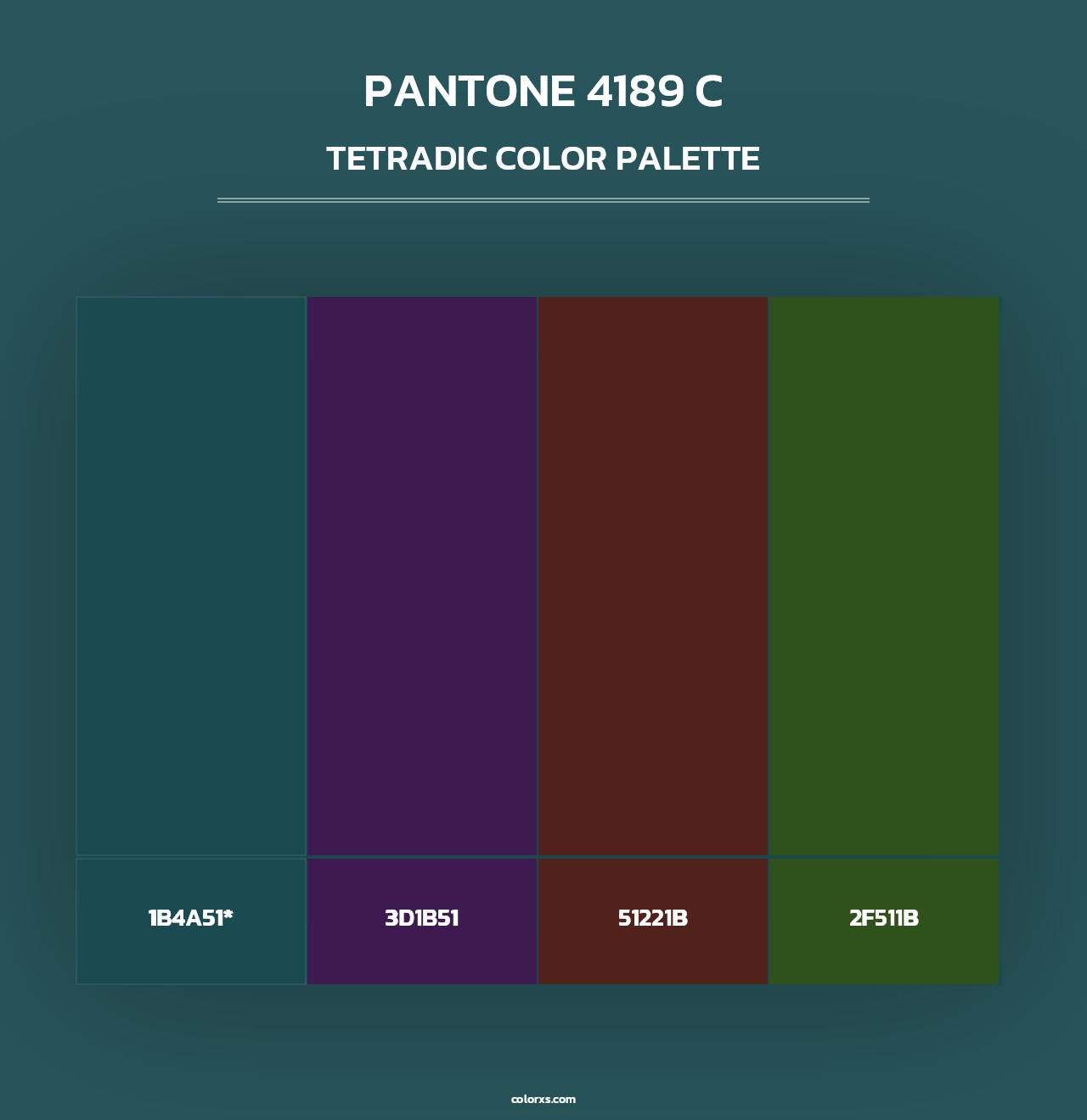 PANTONE 4189 C - Tetradic Color Palette