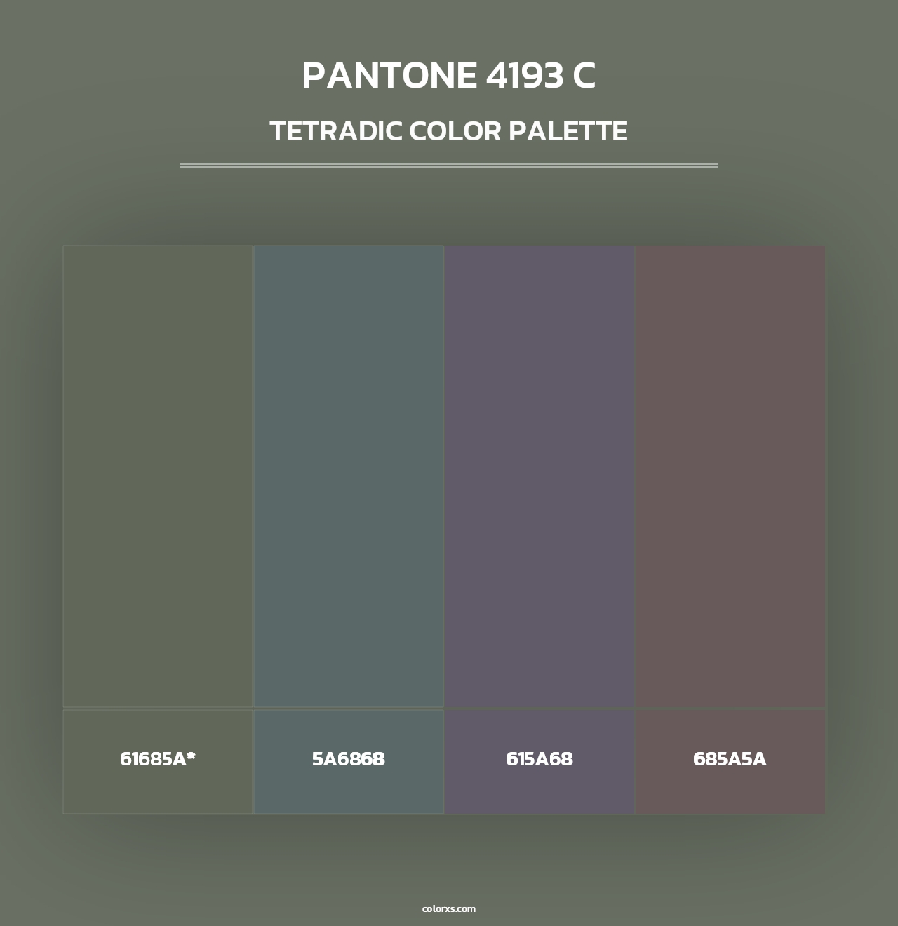 PANTONE 4193 C - Tetradic Color Palette