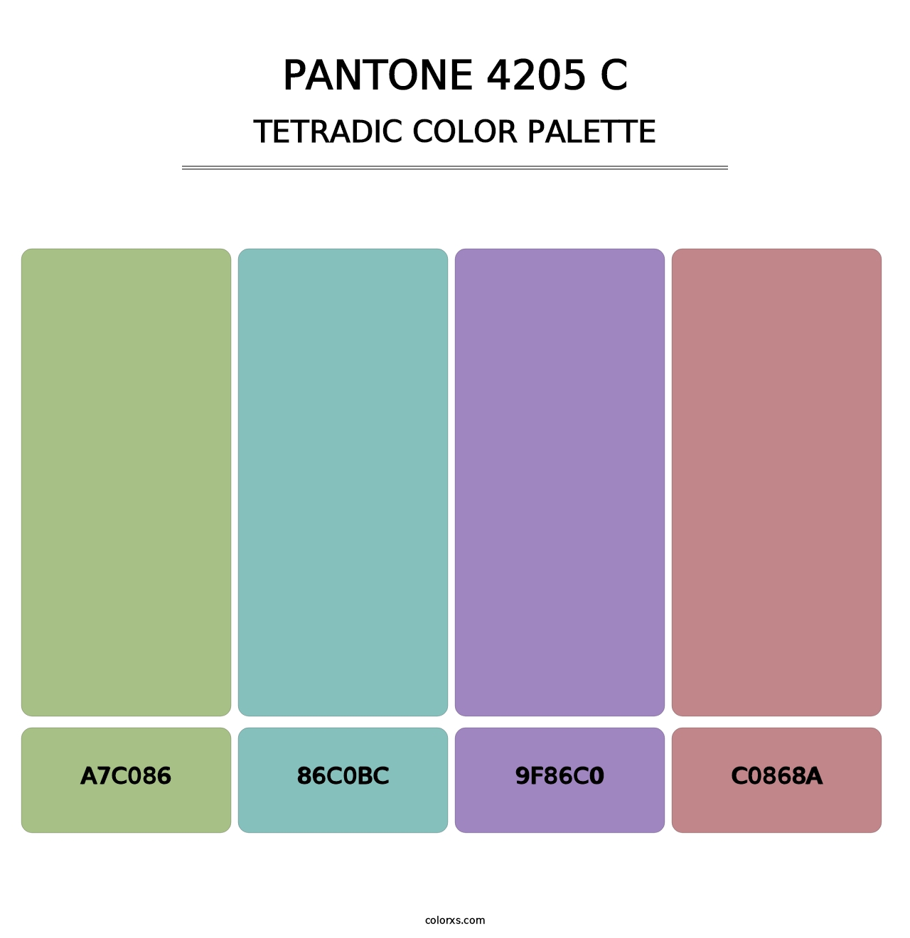 PANTONE 4205 C - Tetradic Color Palette
