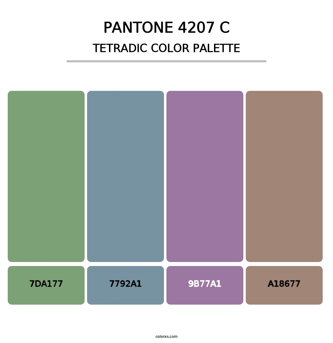 PANTONE 4207 C - Tetradic Color Palette
