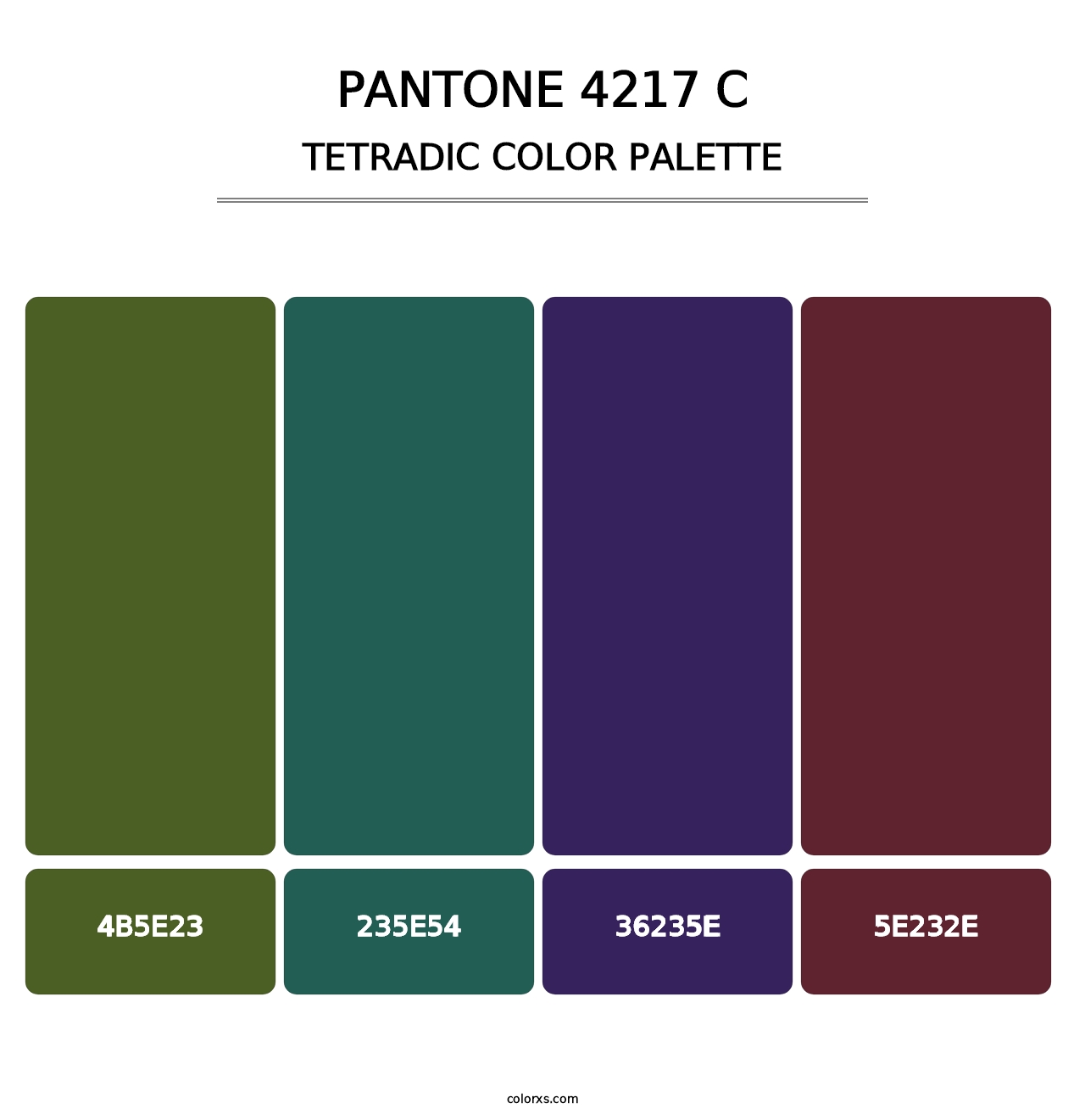 PANTONE 4217 C - Tetradic Color Palette