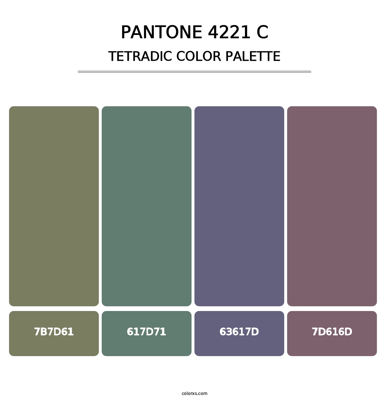 PANTONE 4221 C - Tetradic Color Palette