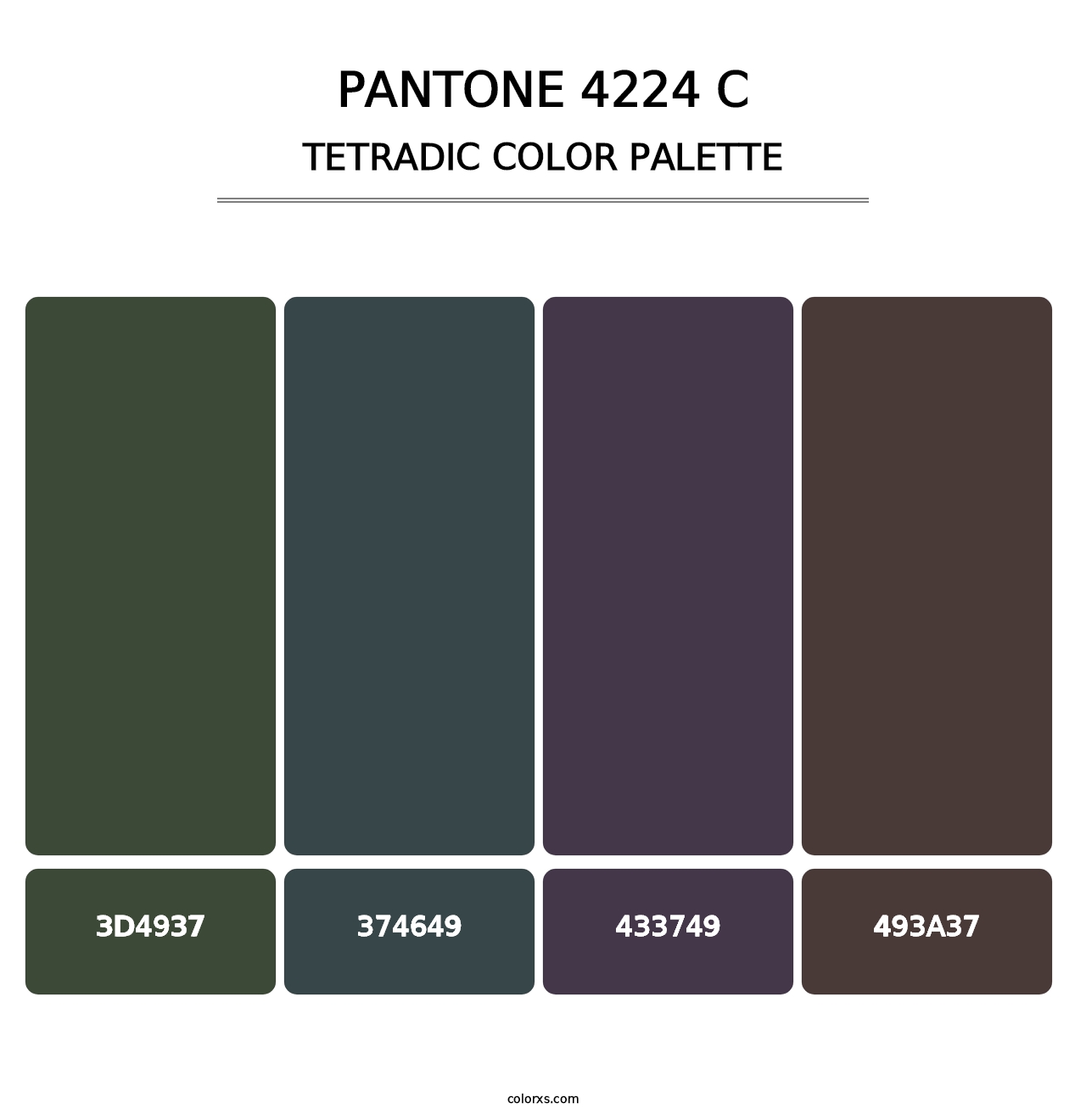 PANTONE 4224 C - Tetradic Color Palette
