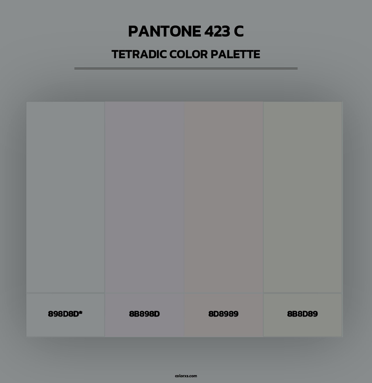 PANTONE 423 C - Tetradic Color Palette