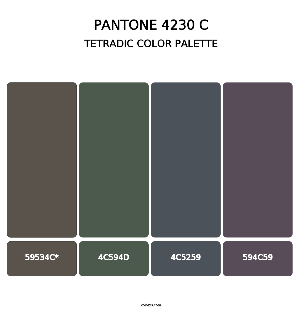 PANTONE 4230 C - Tetradic Color Palette