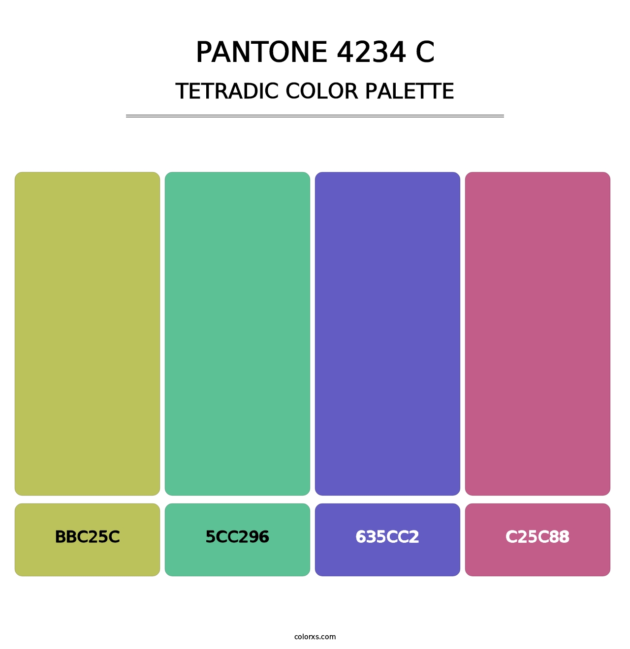 PANTONE 4234 C - Tetradic Color Palette