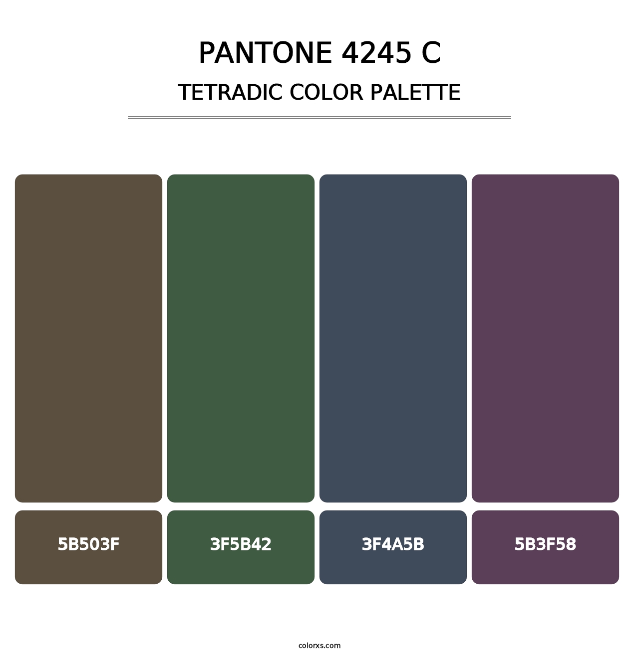 PANTONE 4245 C - Tetradic Color Palette