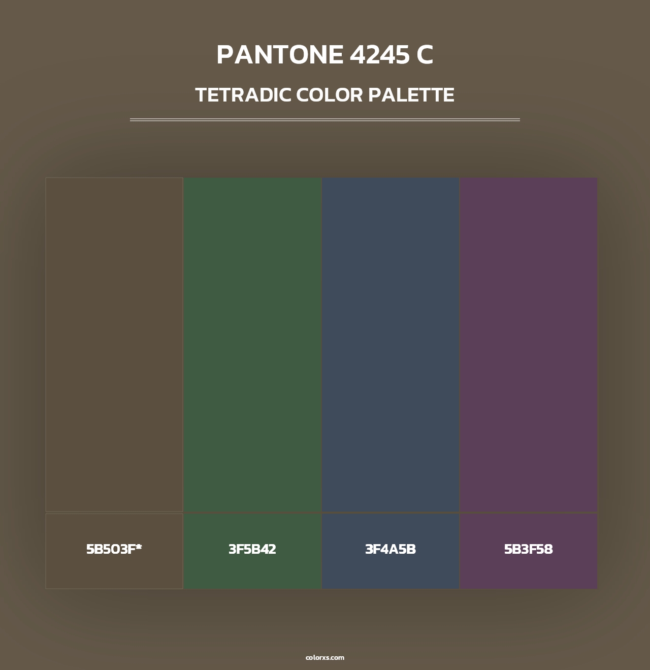 PANTONE 4245 C - Tetradic Color Palette