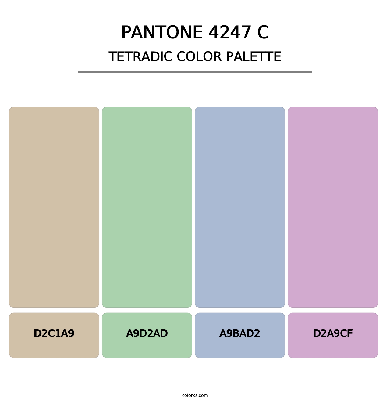 PANTONE 4247 C - Tetradic Color Palette