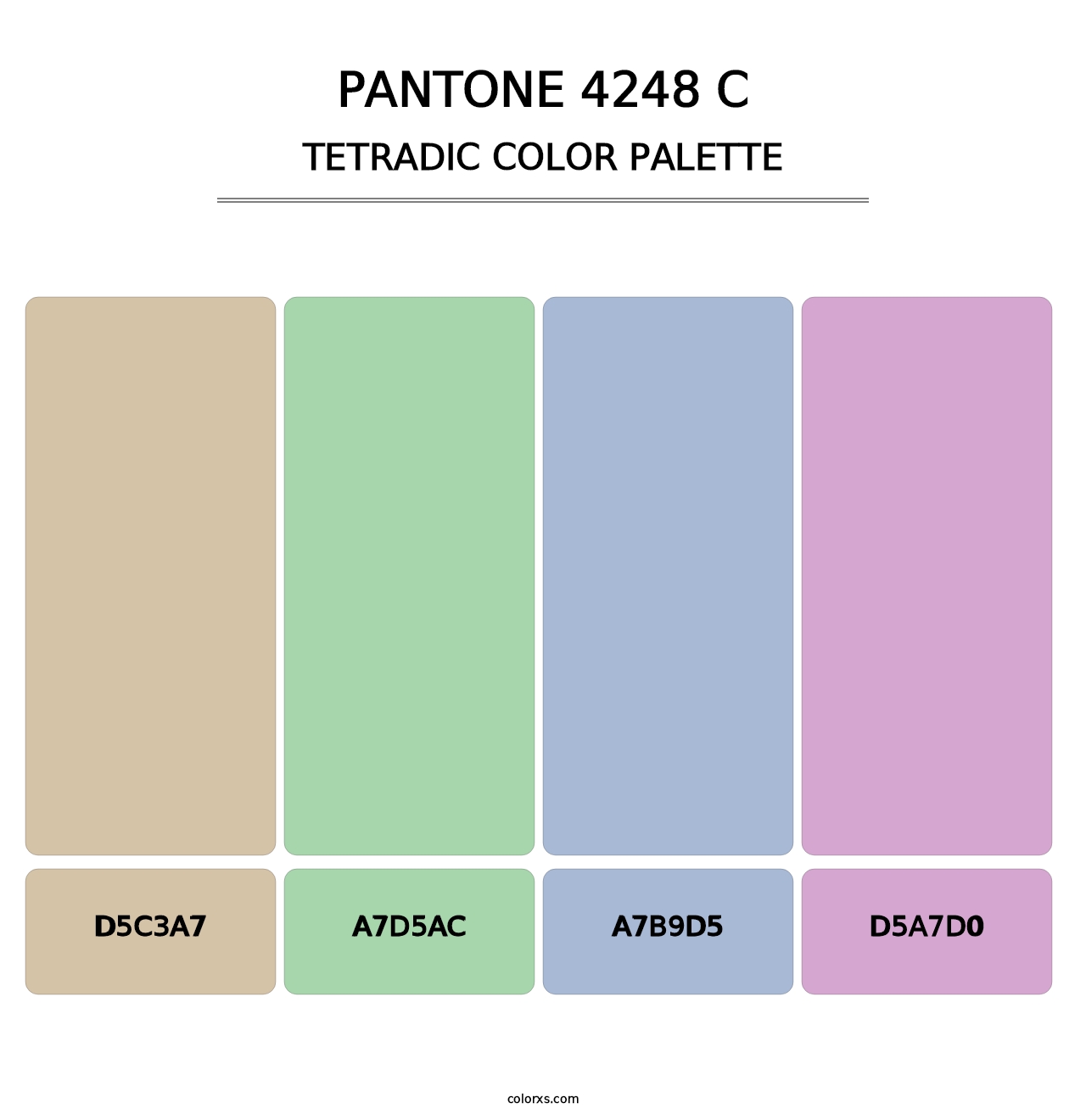 PANTONE 4248 C - Tetradic Color Palette