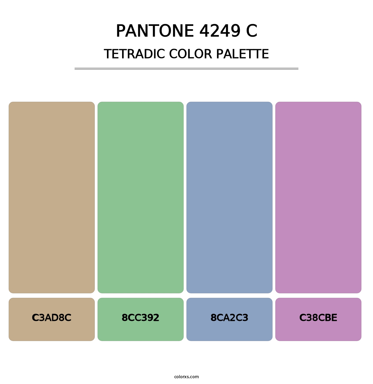 PANTONE 4249 C - Tetradic Color Palette