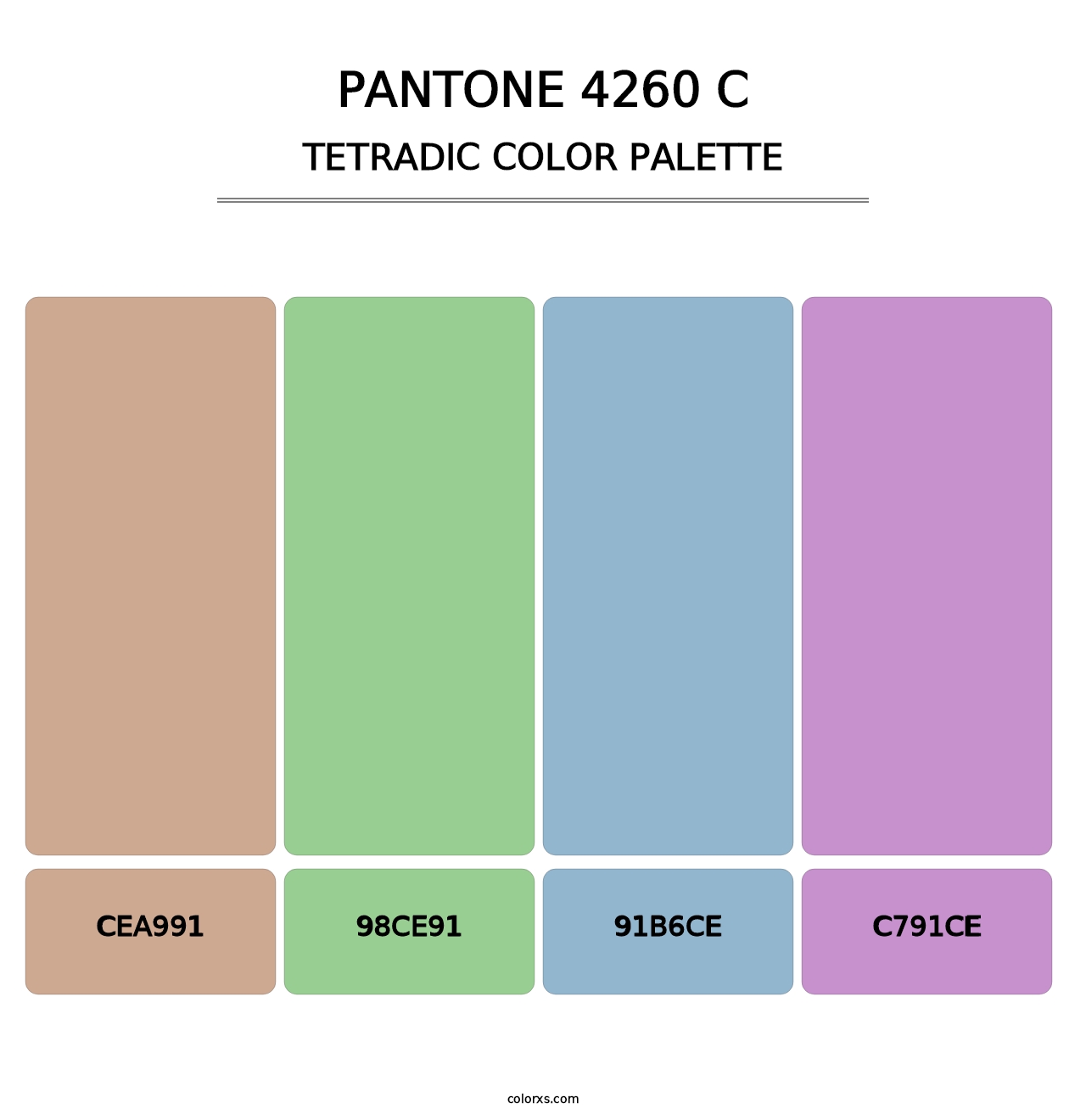 PANTONE 4260 C - Tetradic Color Palette
