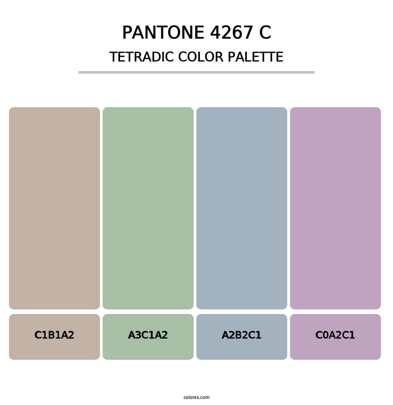 PANTONE 4267 C - Tetradic Color Palette