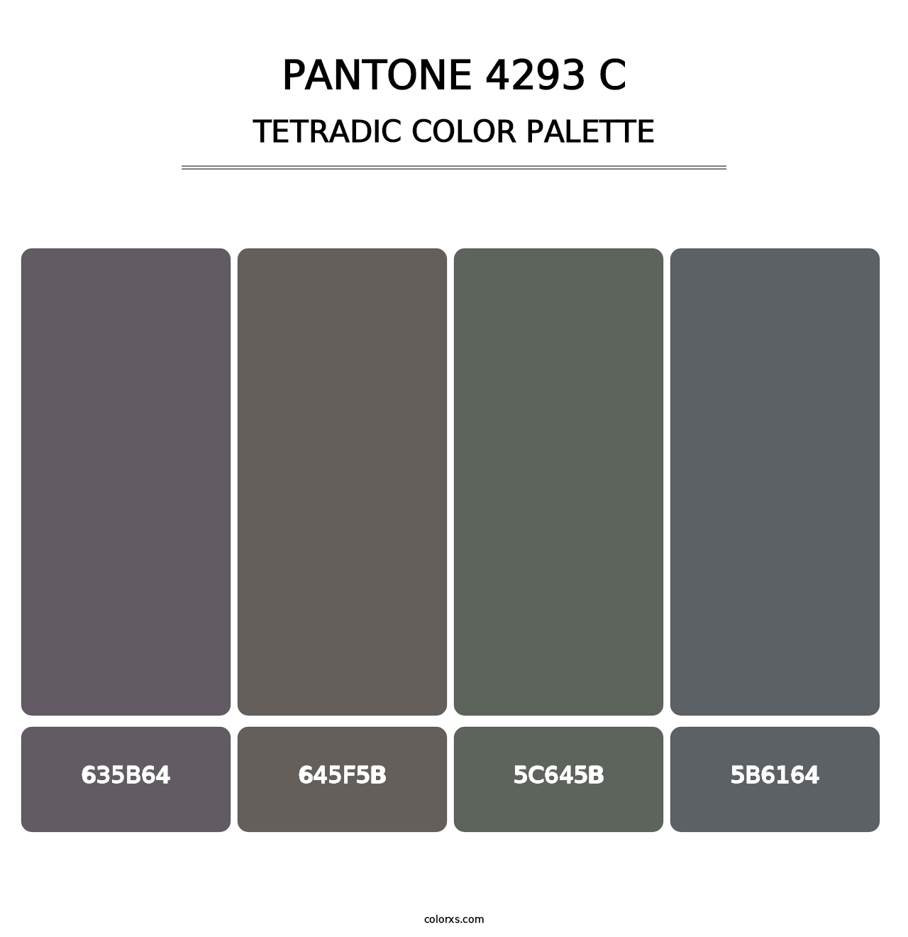 PANTONE 4293 C - Tetradic Color Palette