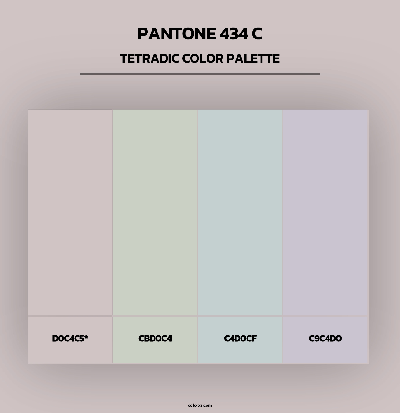 PANTONE 434 C - Tetradic Color Palette