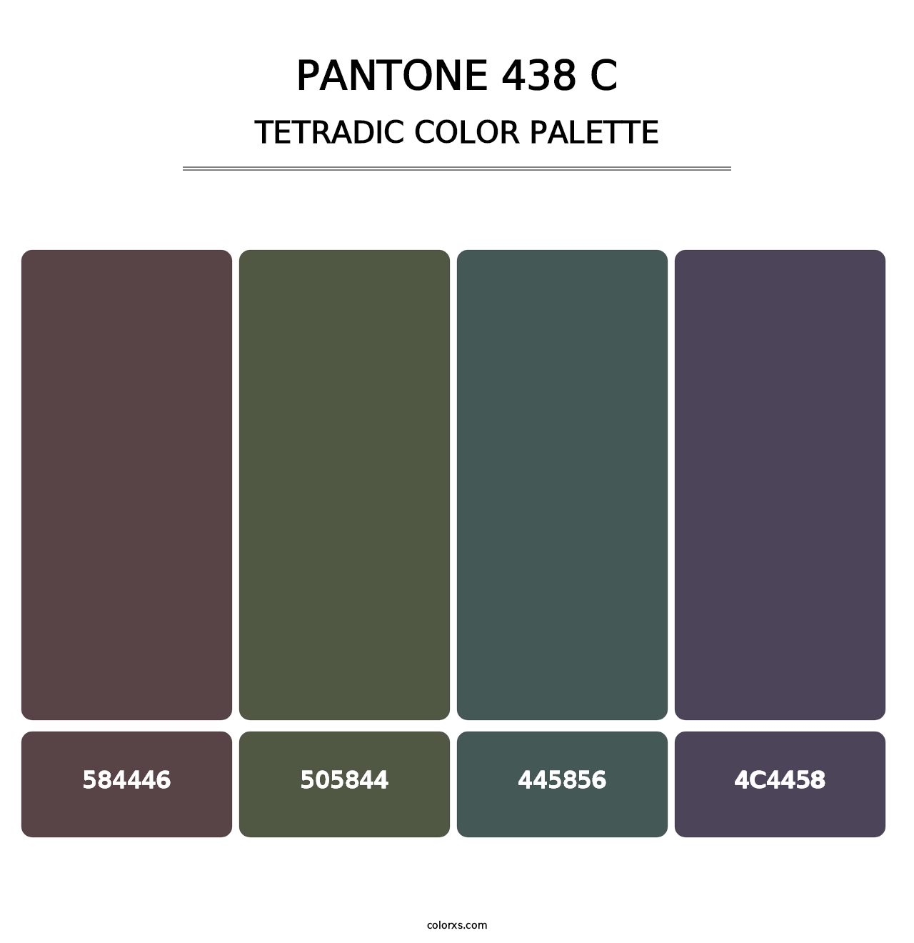 PANTONE 438 C - Tetradic Color Palette