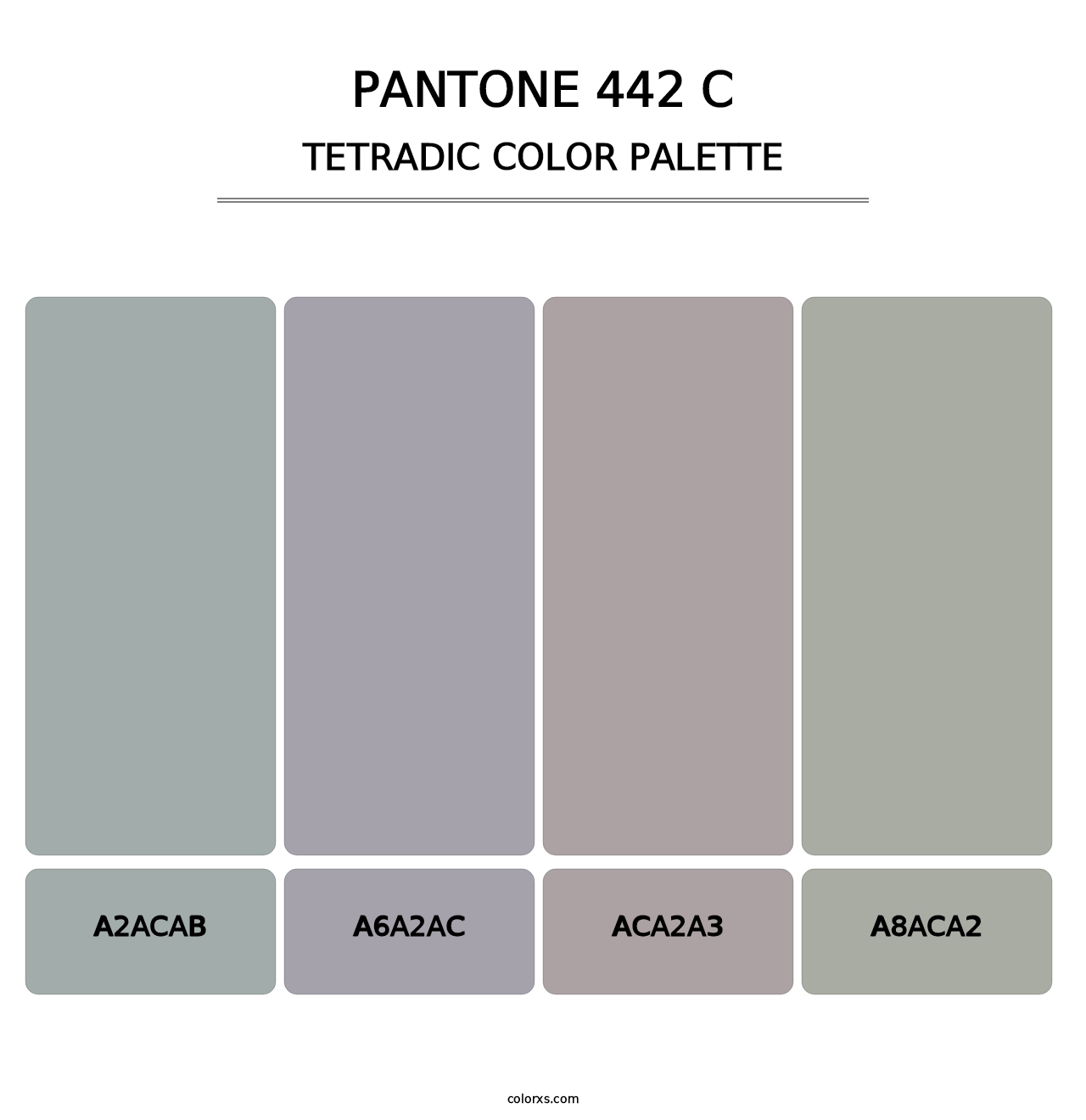 PANTONE 442 C - Tetradic Color Palette