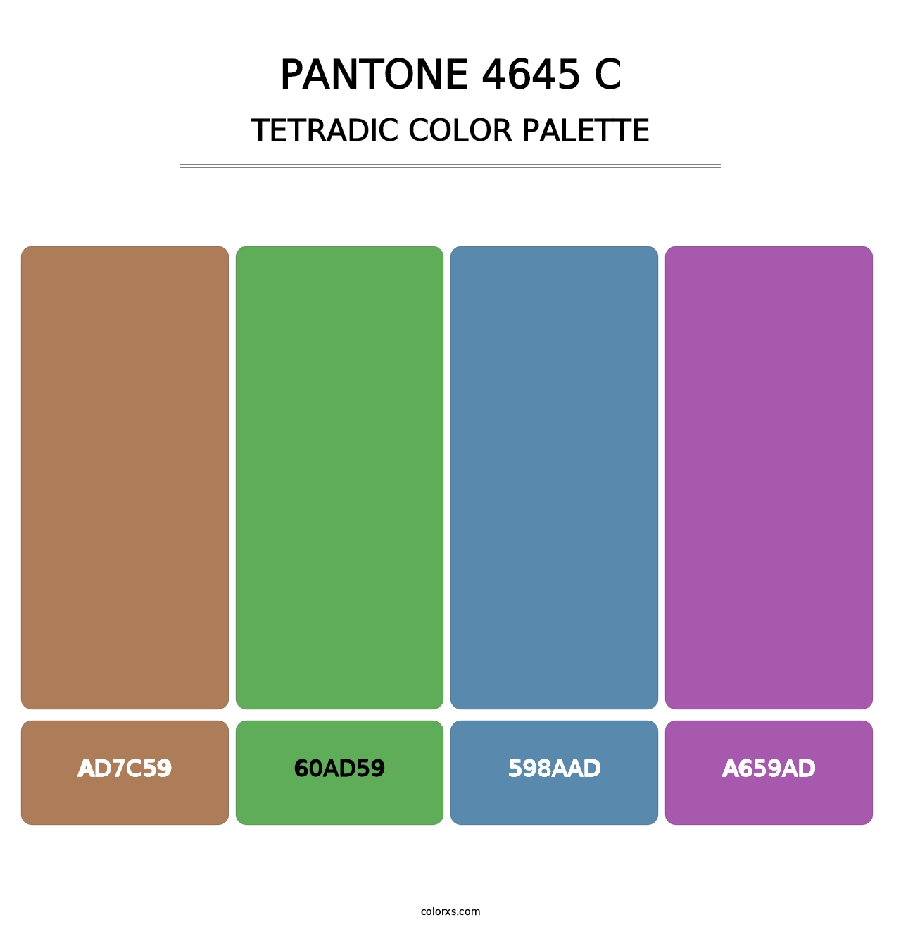 PANTONE 4645 C - Tetradic Color Palette