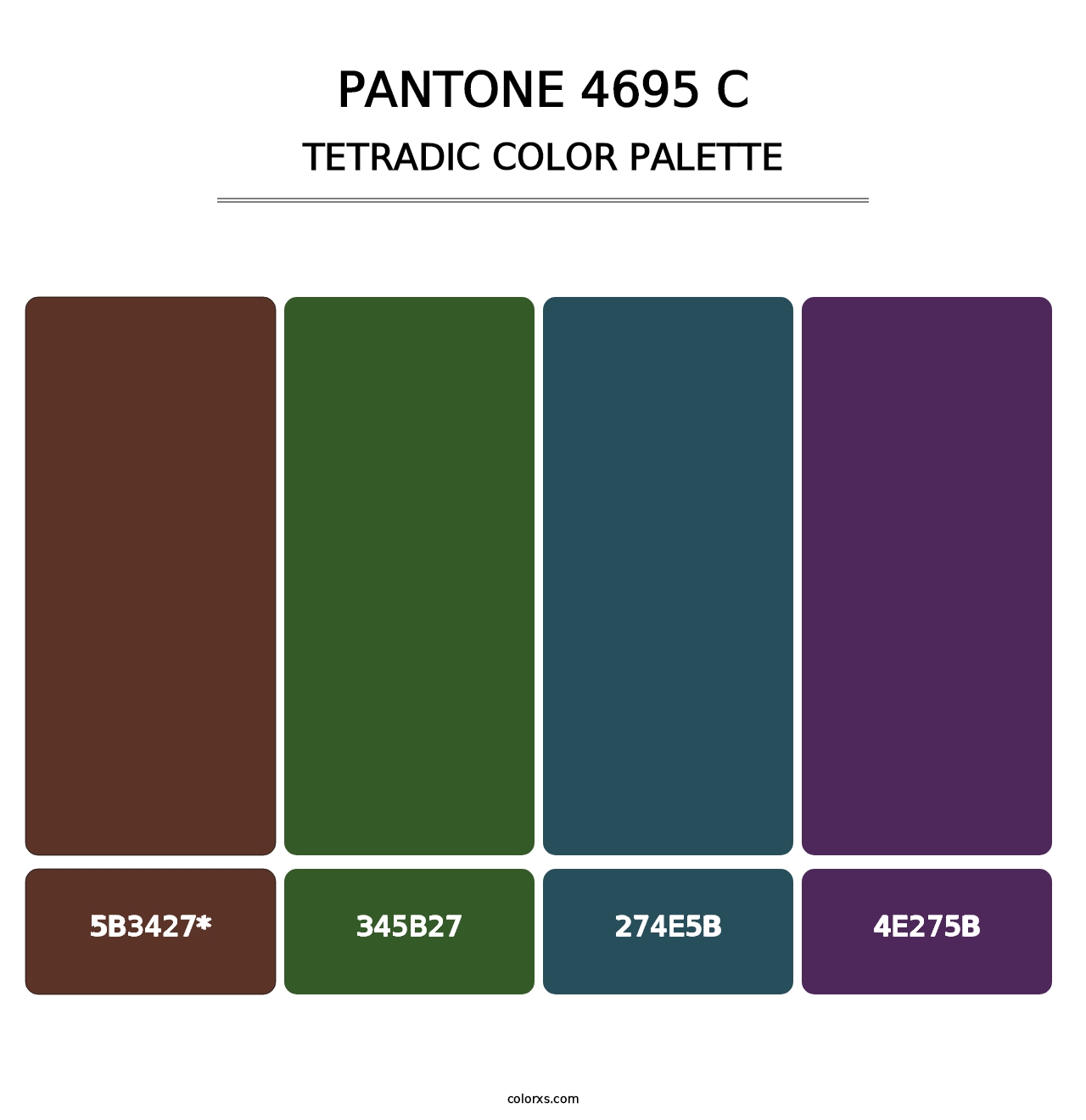 PANTONE 4695 C - Tetradic Color Palette
