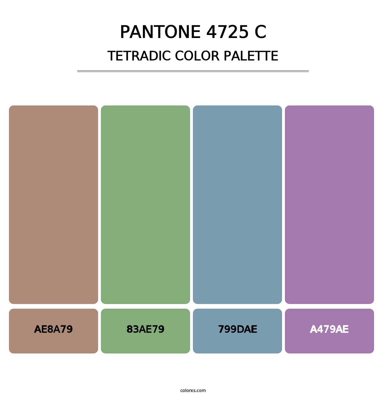 PANTONE 4725 C - Tetradic Color Palette