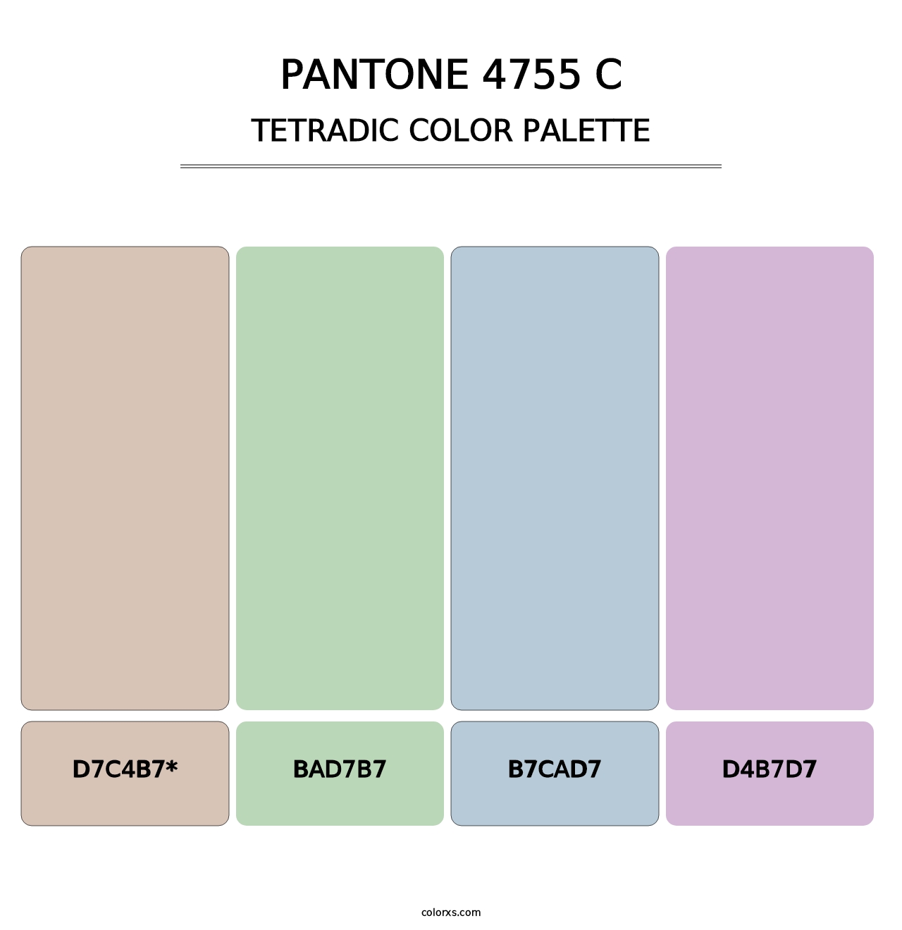 PANTONE 4755 C - Tetradic Color Palette