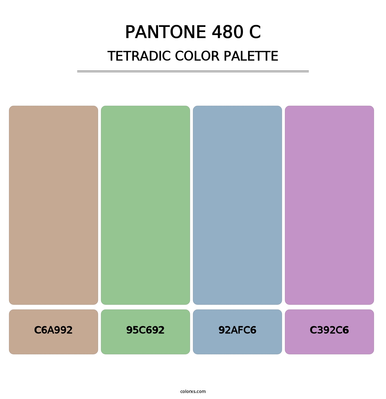 PANTONE 480 C - Tetradic Color Palette