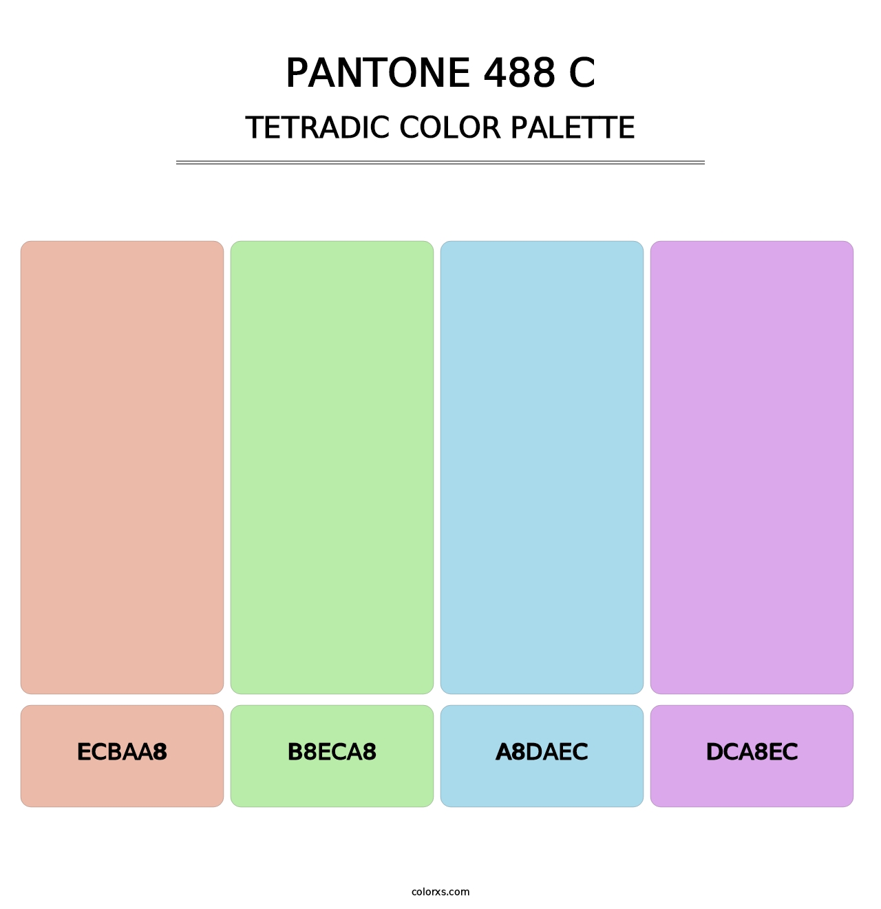 PANTONE 488 C - Tetradic Color Palette