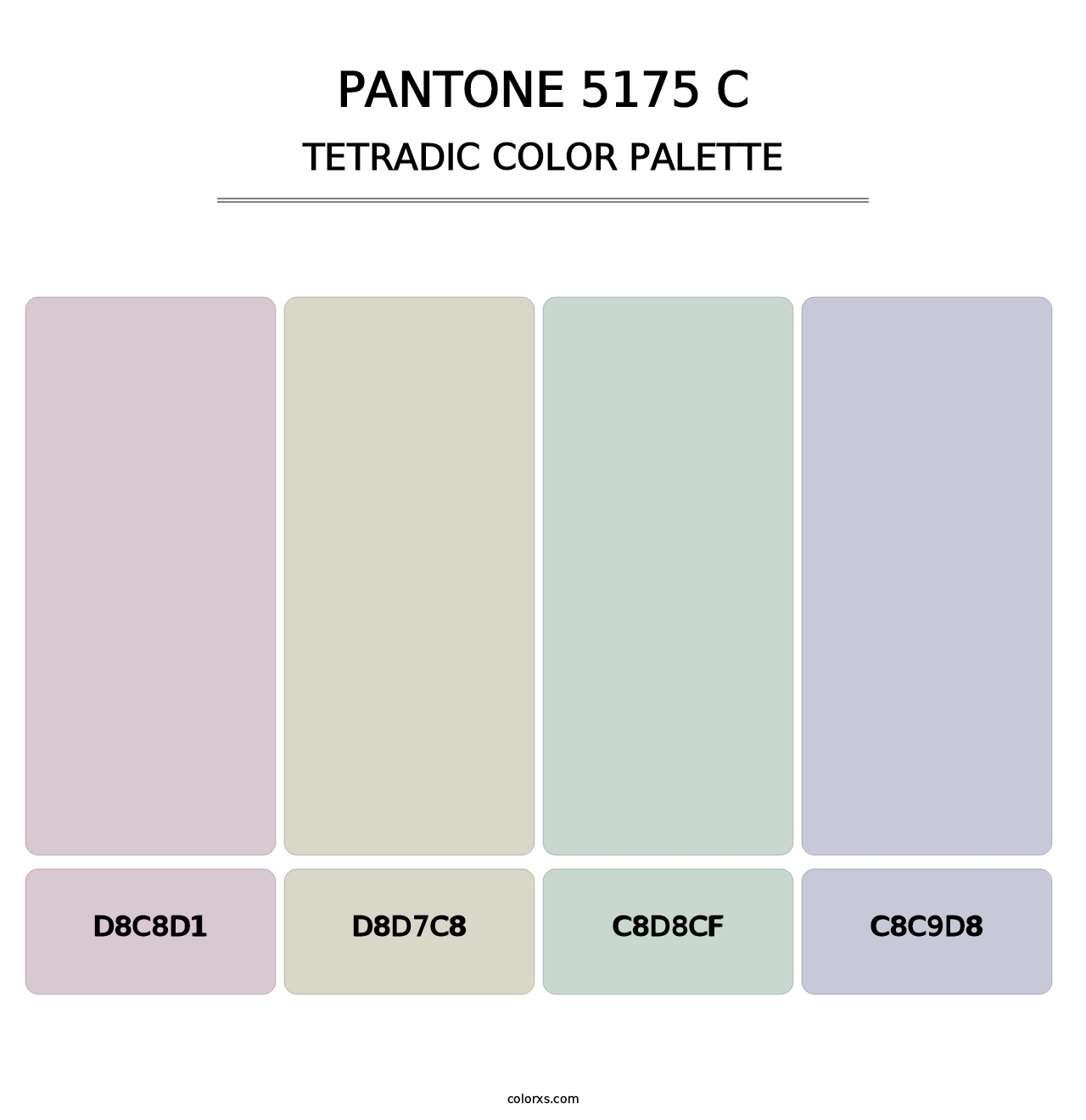PANTONE 5175 C - Tetradic Color Palette