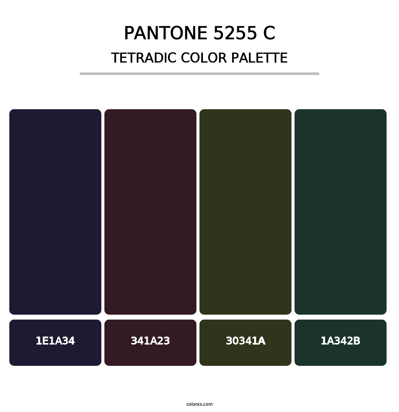 PANTONE 5255 C - Tetradic Color Palette