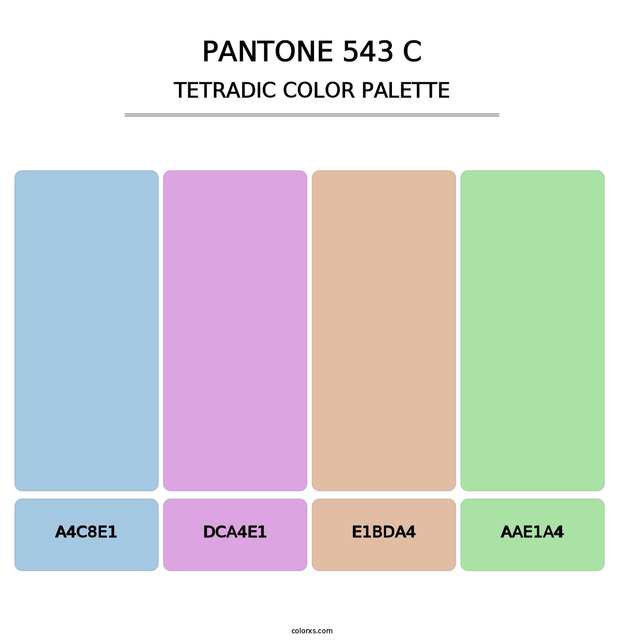 PANTONE 543 C - Tetradic Color Palette