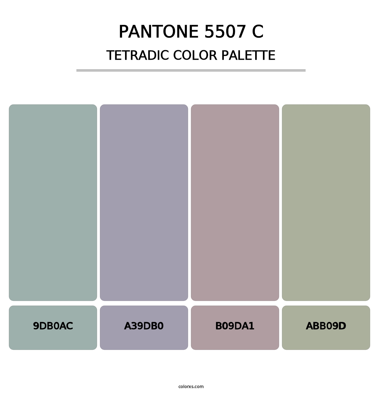 PANTONE 5507 C - Tetradic Color Palette