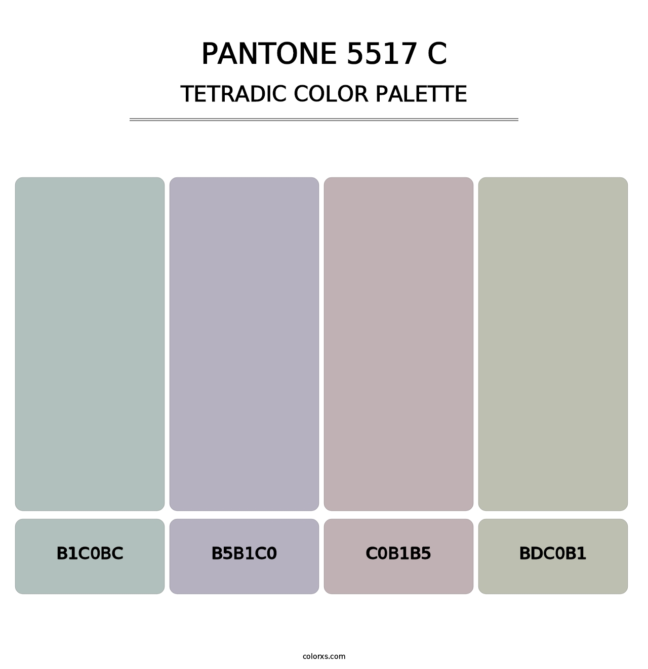 PANTONE 5517 C - Tetradic Color Palette