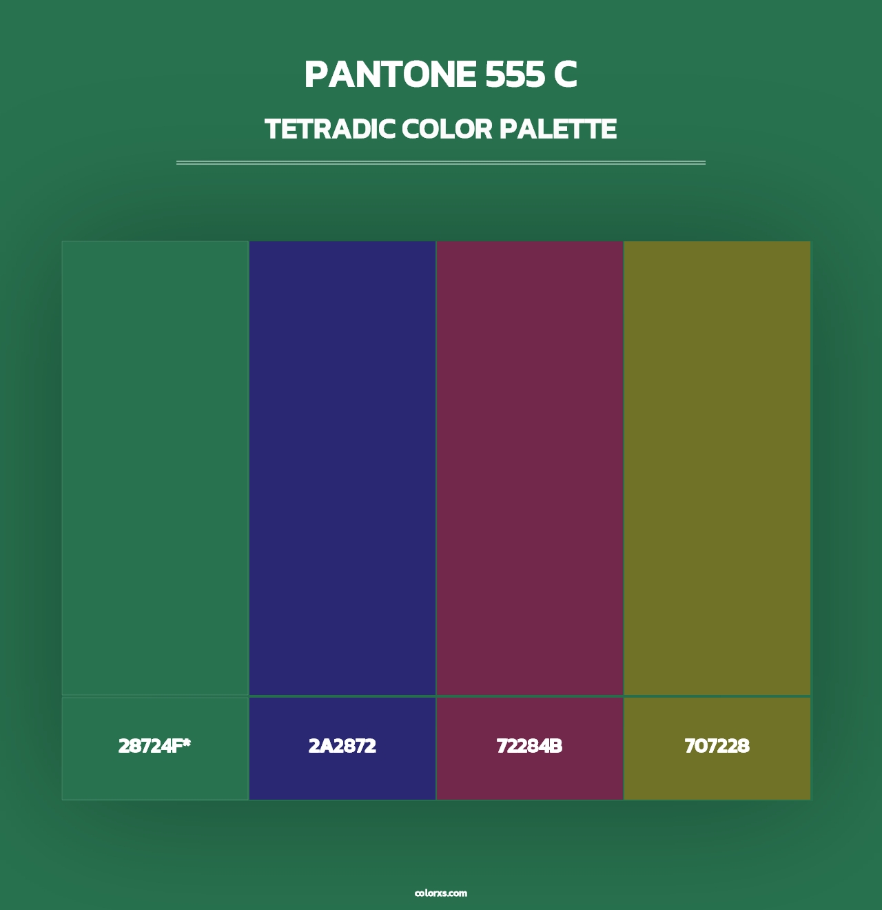 PANTONE 555 C - Tetradic Color Palette