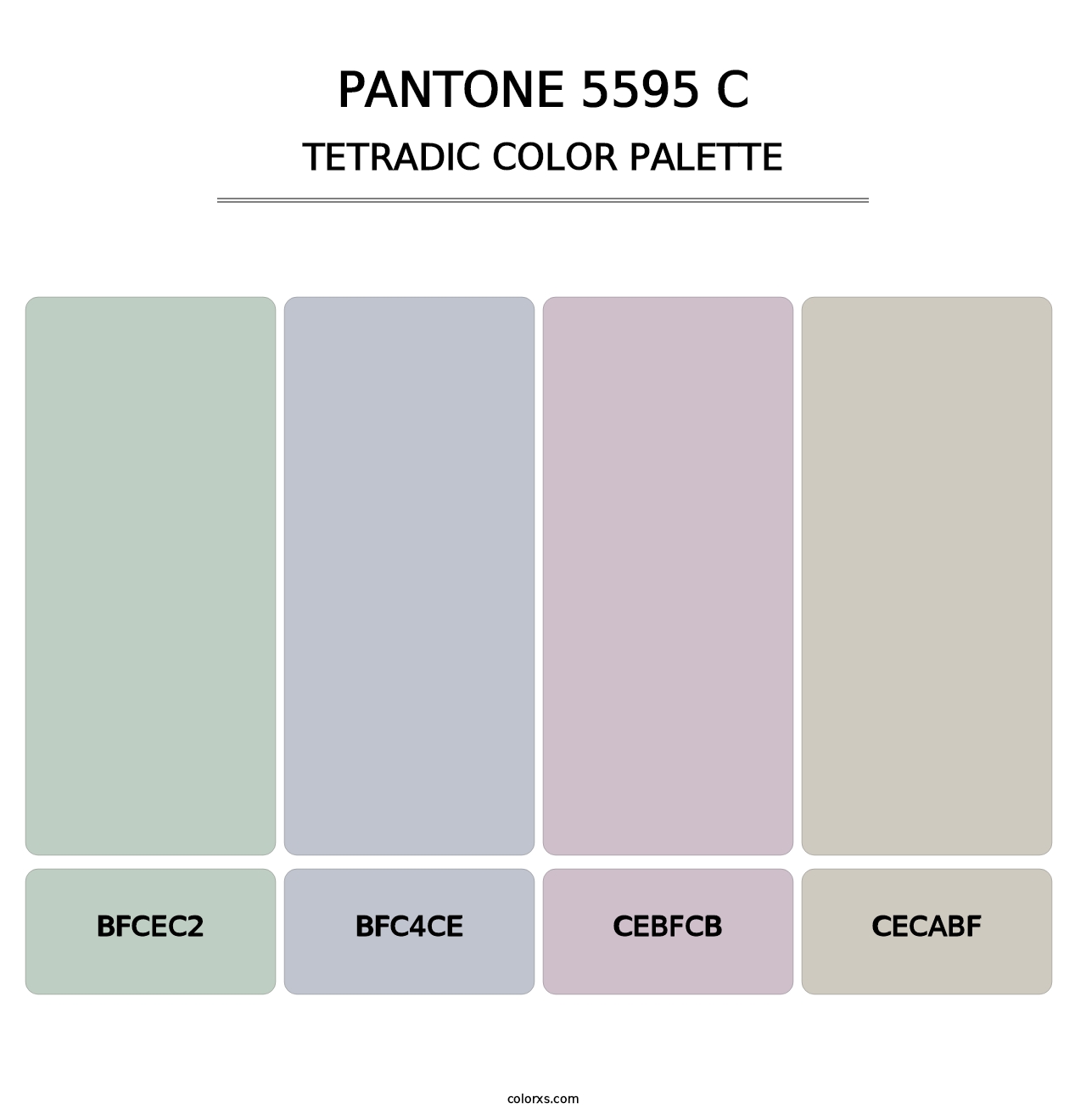 PANTONE 5595 C - Tetradic Color Palette