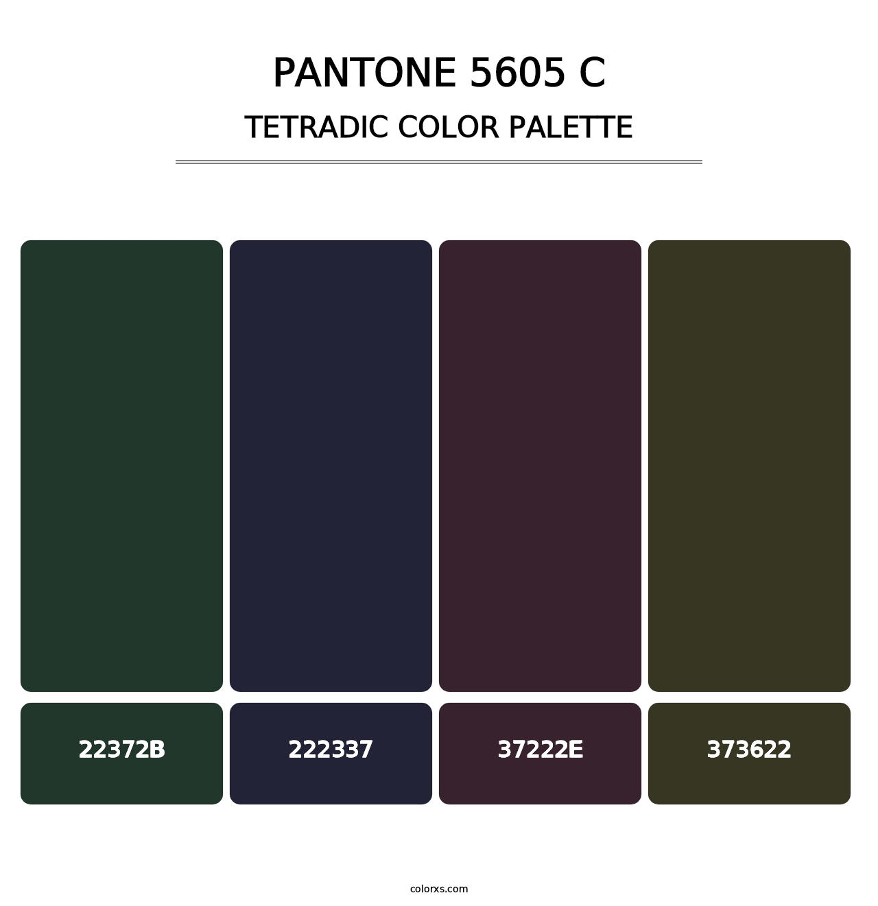 PANTONE 5605 C - Tetradic Color Palette