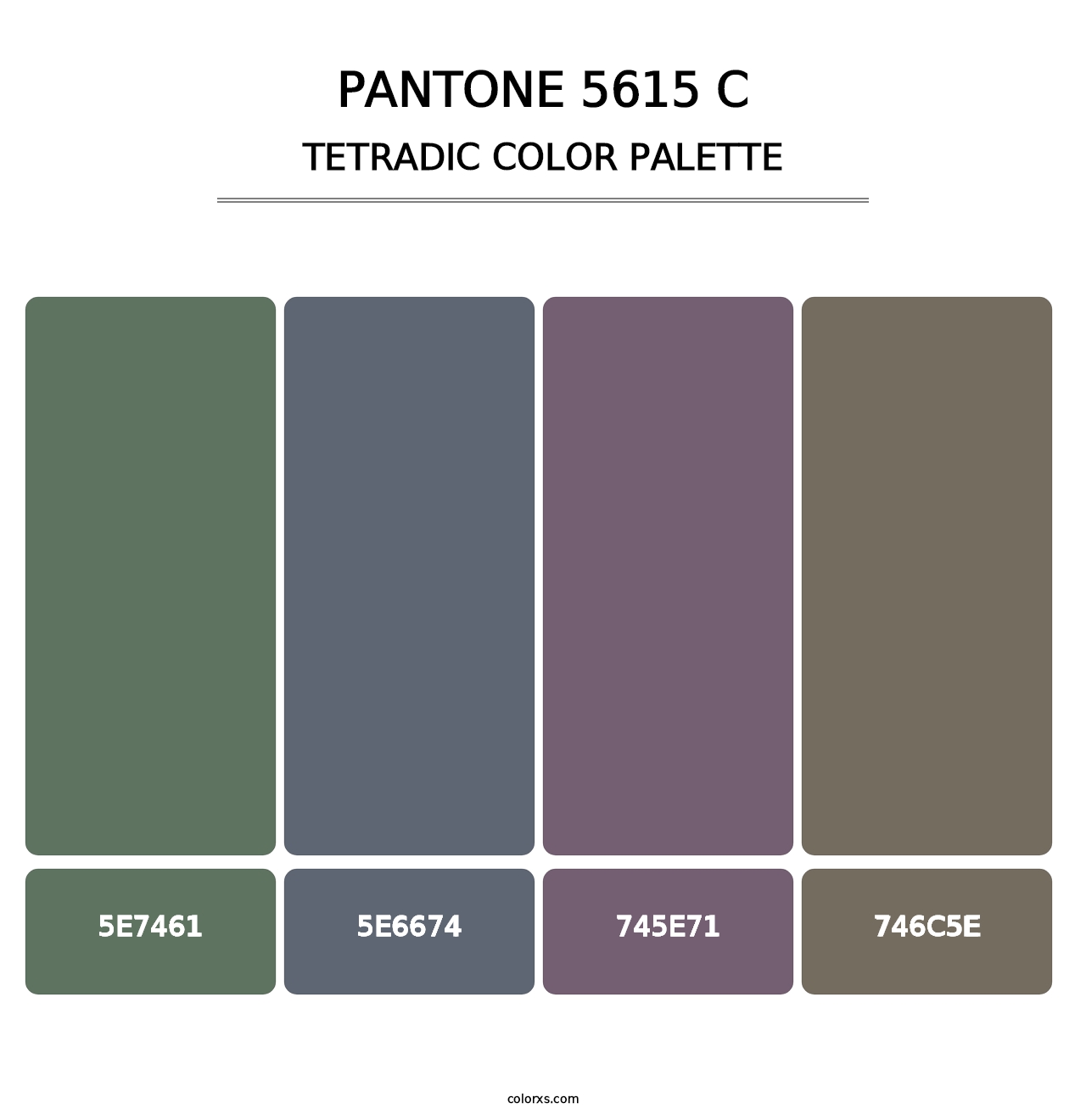 PANTONE 5615 C - Tetradic Color Palette