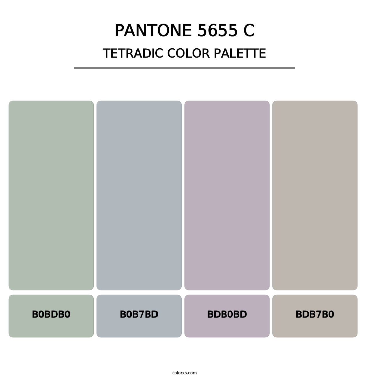 PANTONE 5655 C - Tetradic Color Palette