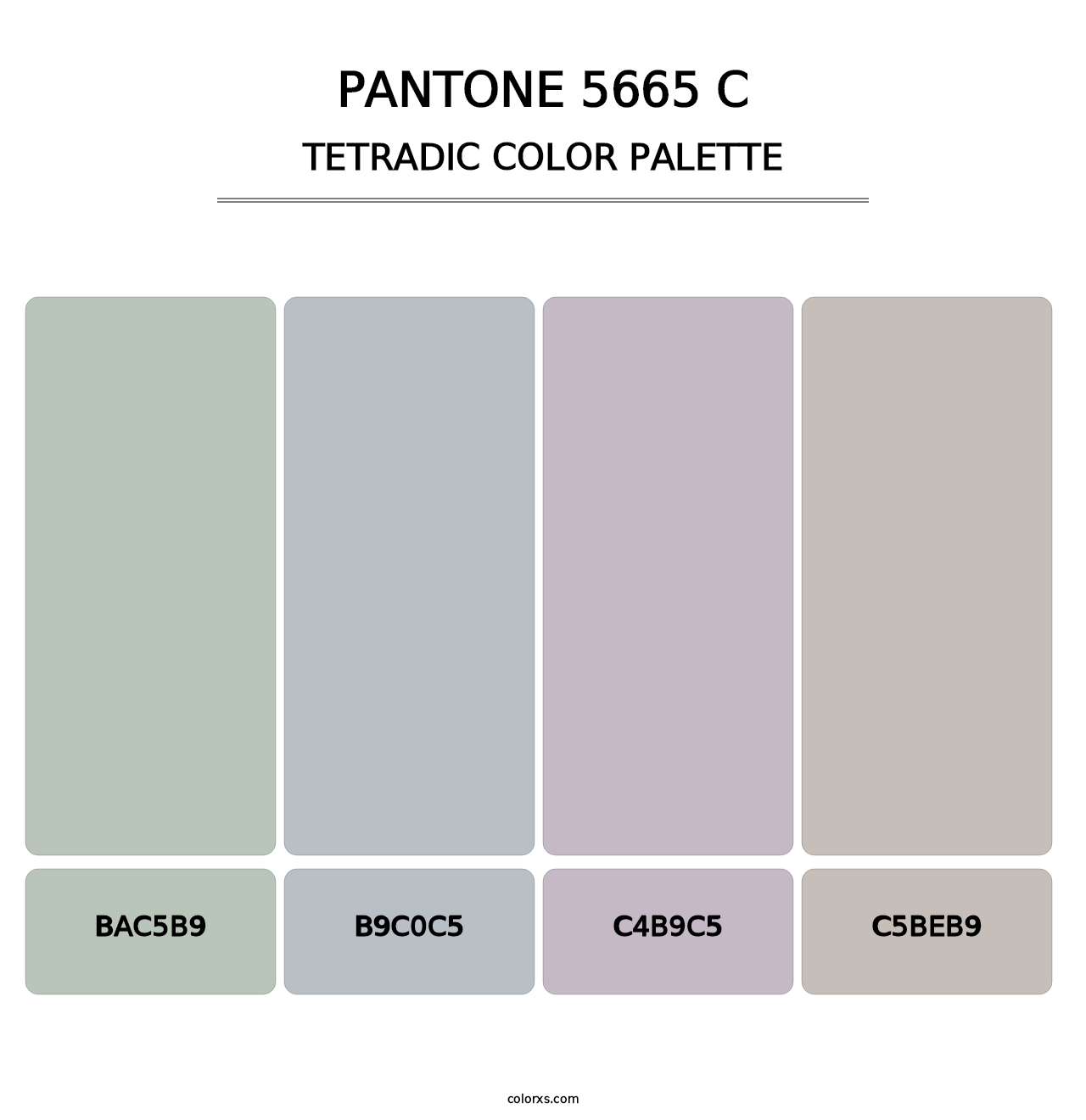 PANTONE 5665 C - Tetradic Color Palette