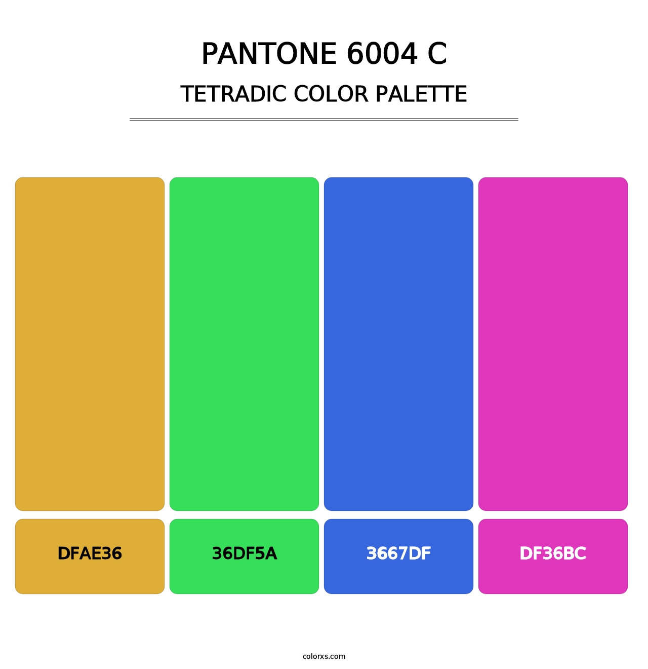 PANTONE 6004 C - Tetradic Color Palette