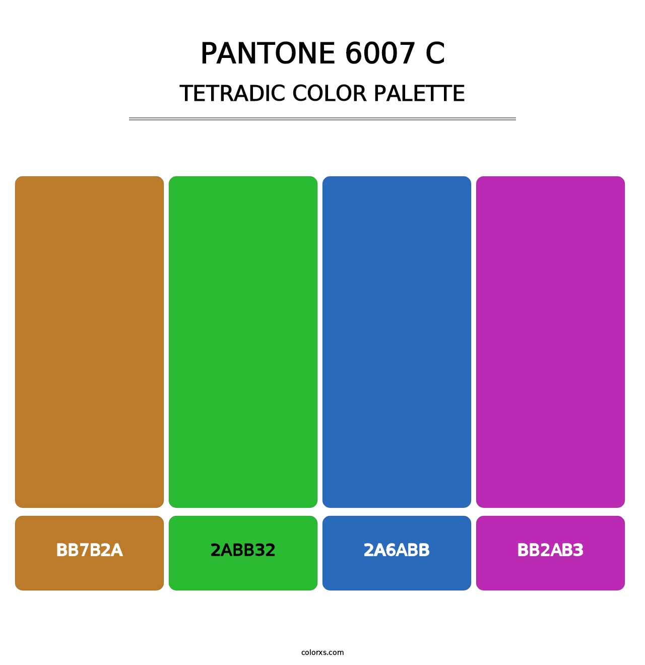 PANTONE 6007 C - Tetradic Color Palette