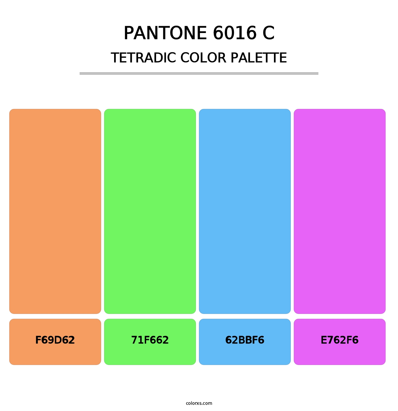 PANTONE 6016 C - Tetradic Color Palette