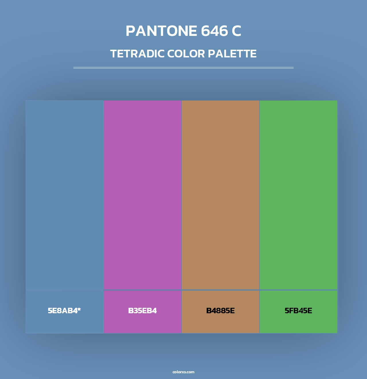PANTONE 646 C - Tetradic Color Palette
