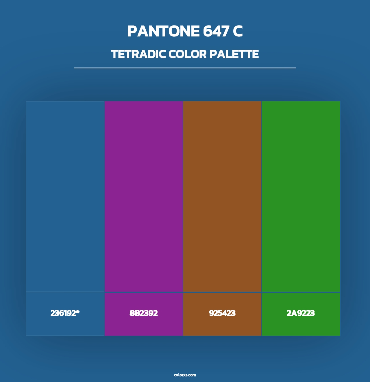 PANTONE 647 C - Tetradic Color Palette