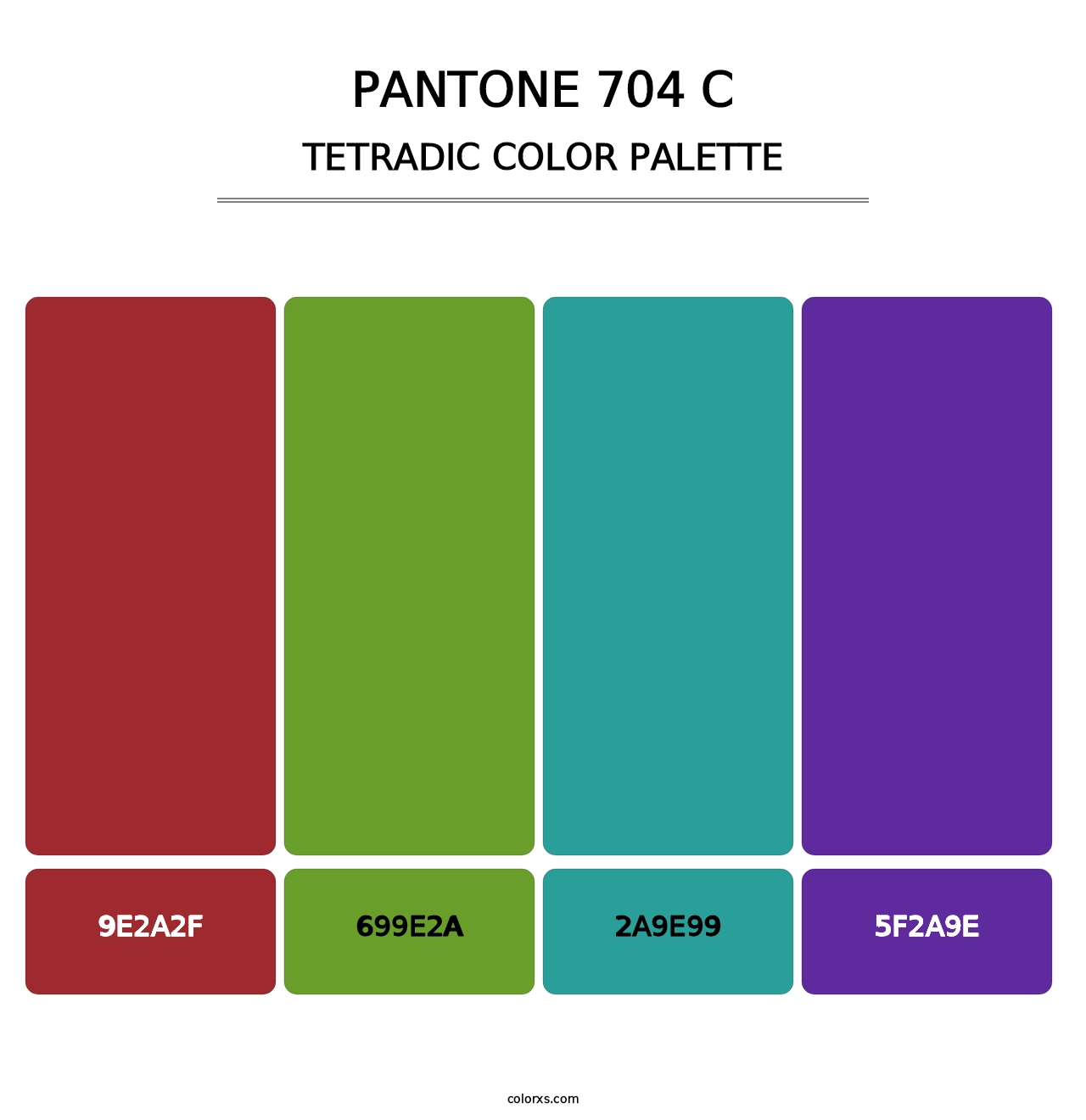 PANTONE 704 C - Tetradic Color Palette