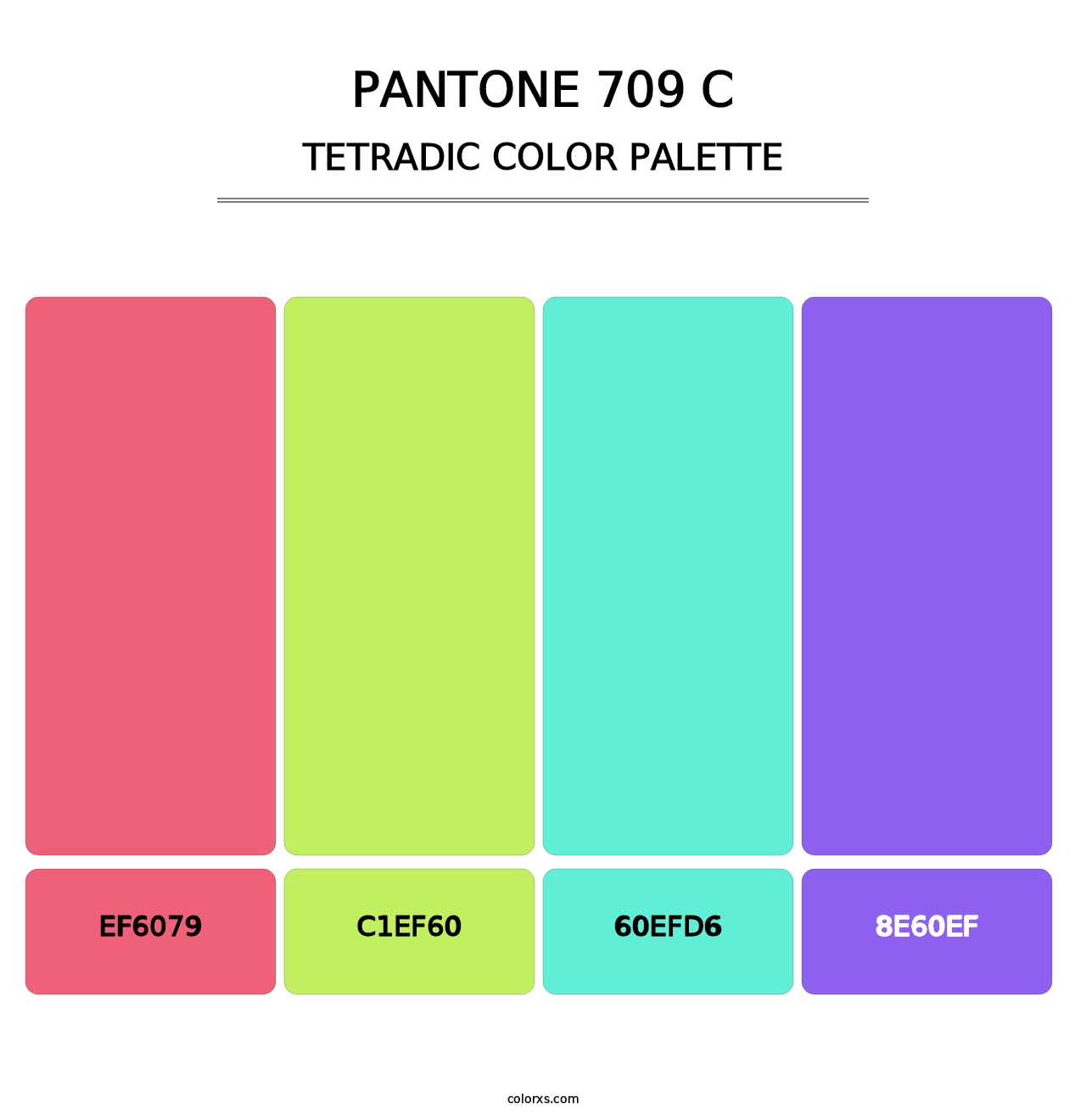 PANTONE 709 C - Tetradic Color Palette