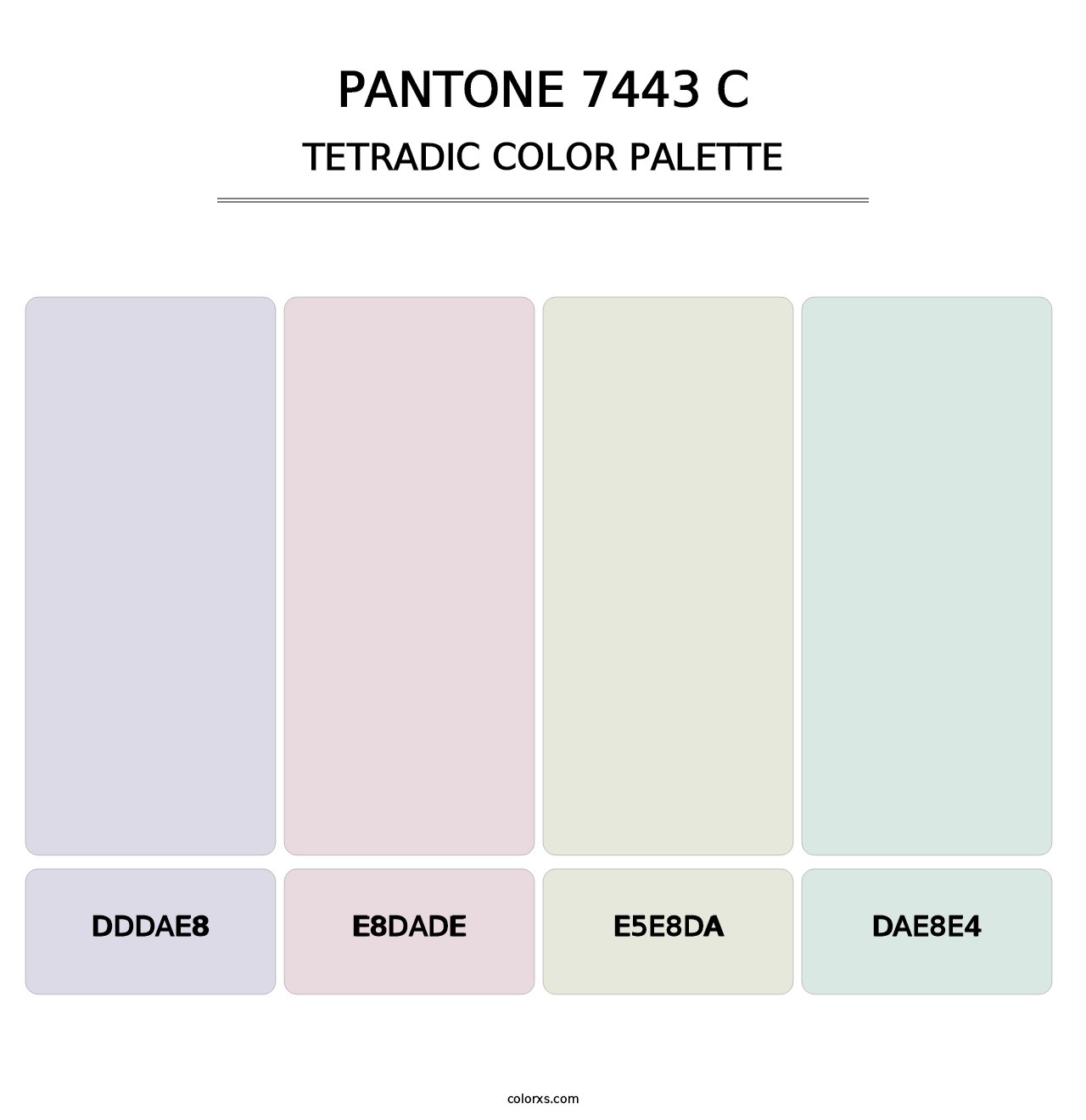 PANTONE 7443 C - Tetradic Color Palette