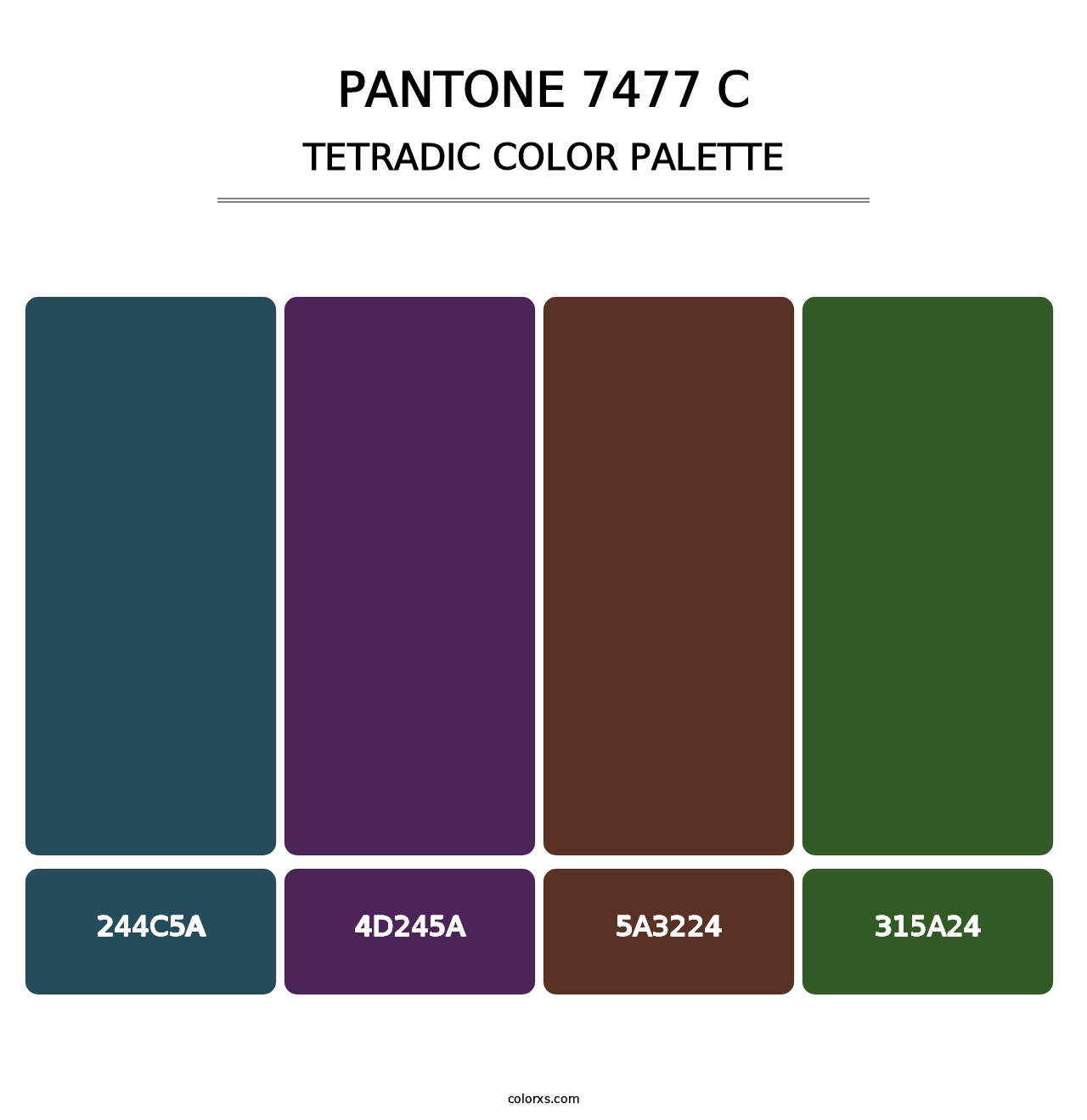 PANTONE 7477 C - Tetradic Color Palette