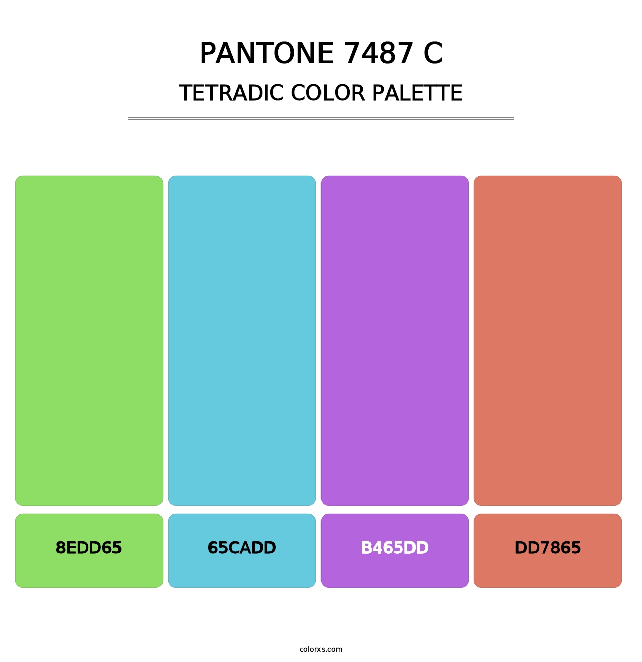 PANTONE 7487 C - Tetradic Color Palette