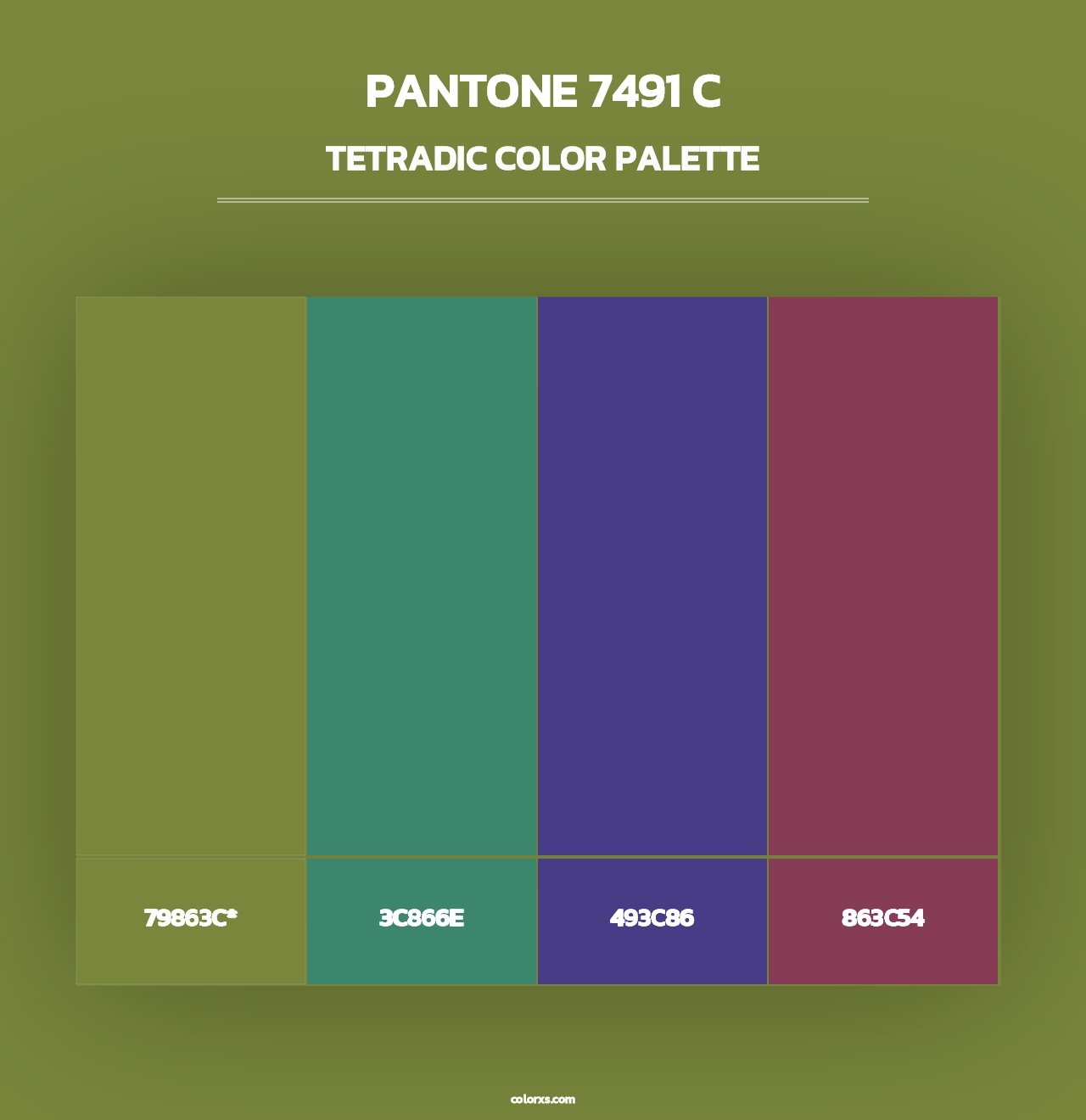 PANTONE 7491 C - Tetradic Color Palette