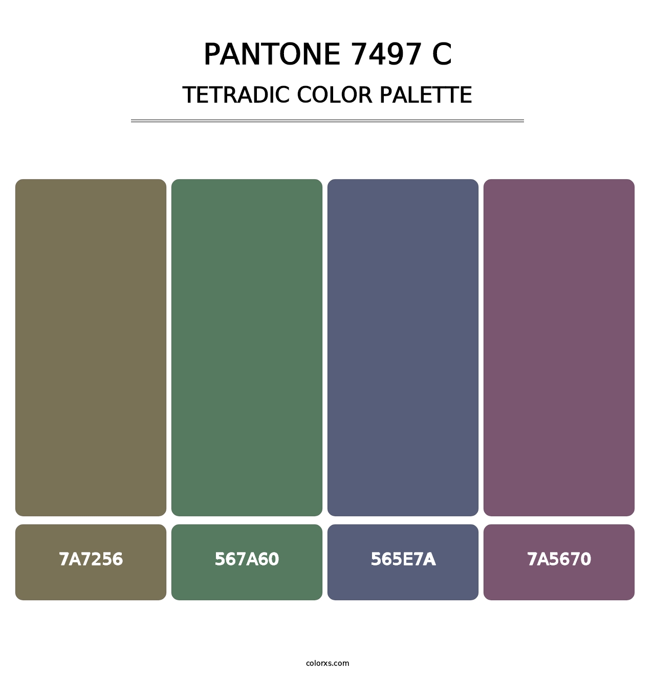 PANTONE 7497 C - Tetradic Color Palette